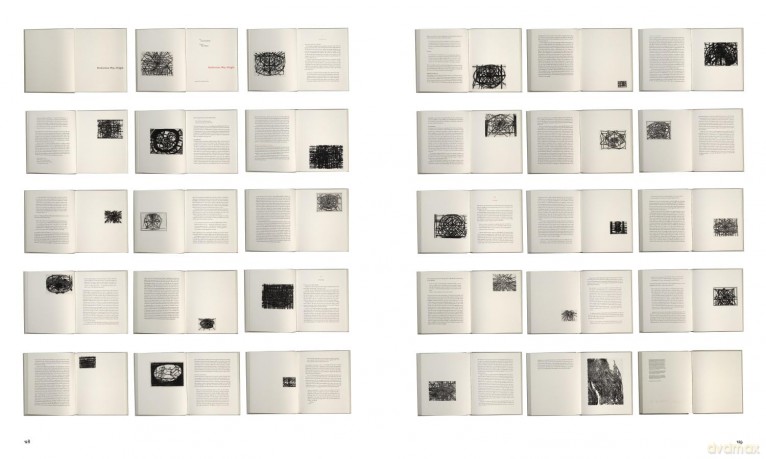 Terry Winters: The Printed Work: A Catalogue Raisonné - Richard H. Axsom [KSIĄŻKA]