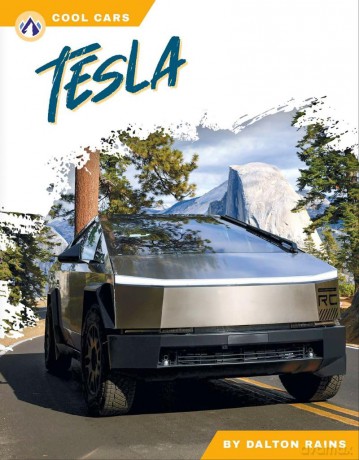 Tesla - Dalton Rains [KSIĄŻKA]