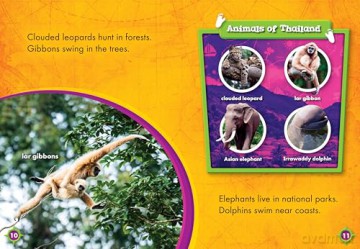 Thailand - Monika Davies [KSIĄŻKA]
