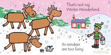That's not my... Winter Wonderland - Fiona Watt [KSIĄŻKA]