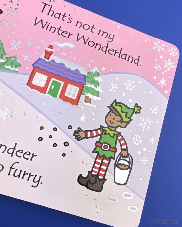 That's not my... Winter Wonderland - Fiona Watt [KSIĄŻKA]
