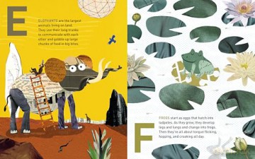 The ABC Zoo: Beastly Facts from A to Z - Oliver Weiss [KSIĄŻKA]