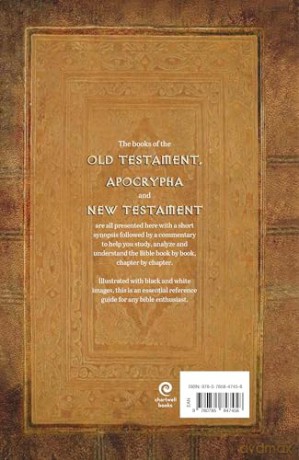 The Bible Book by Book: Study, Analyze, Understand - Richenda Milton-Daws [KSIĄŻKA]