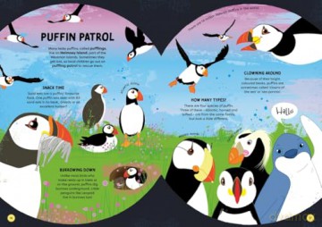 The Big Around-the-World Animal Adventure: A search and find book - Vicky Woodgate [KSIĄŻKA]