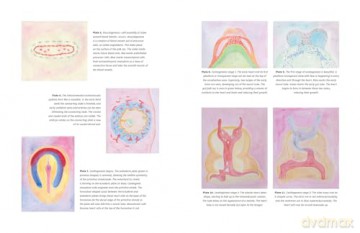 The Biodynamic Heart: Somatic Compassion Practices for a Clear and Vital Heart - Michael J. Shea [KSIĄŻKA]