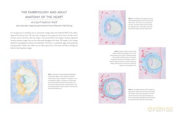 The Biodynamic Heart: Somatic Compassion Practices for a Clear and Vital Heart - Michael J. Shea [KSIĄŻKA]