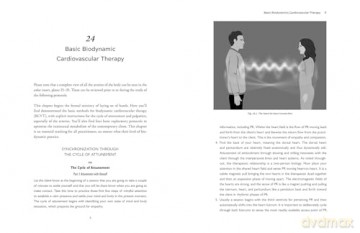 The Biodynamic Heart: Somatic Compassion Practices for a Clear and Vital Heart - Michael J. Shea [KSIĄŻKA]