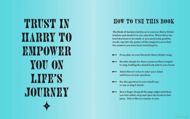 The Book of Answers According to Harry: Profound and Powerful Insight from the King of Pop - Quadrille [KSIĄŻKA]