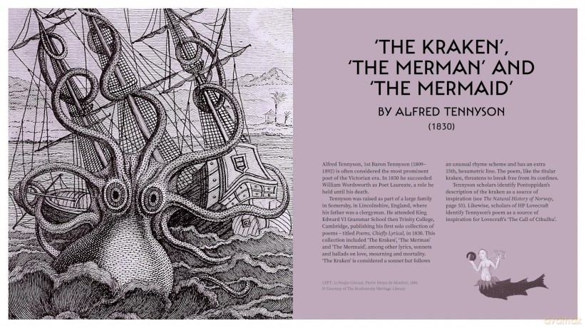 The Book of Sea Monsters: Leviathans of Literature - Dr Prema Arasu BA (Hons) MLitt (PhD) [KSIĄŻKA]