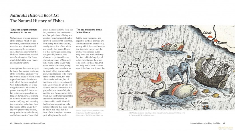 The Book of Sea Monsters: Leviathans of Literature - Dr Prema Arasu BA (Hons) MLitt (PhD) [KSIĄŻKA]