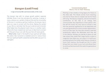 The Book of Signs: 150 Symbols and Their Spiritual Messages from the Other Side - Mystic Michaela [KSIĄŻKA]