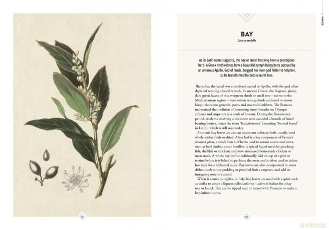 The Botanical Bar: 50 Intoxicating Ingredients and Bespoke Cocktails - Royal Botanic Gardens Kew [KSIĄŻKA]