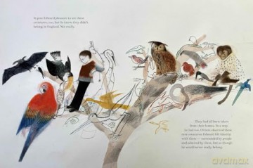 The Boy Who Became a Parrot: A Foolish Biography of Edward Lear, Who Invented Nonsense - Wolverton Hill [KSIĄŻKA]