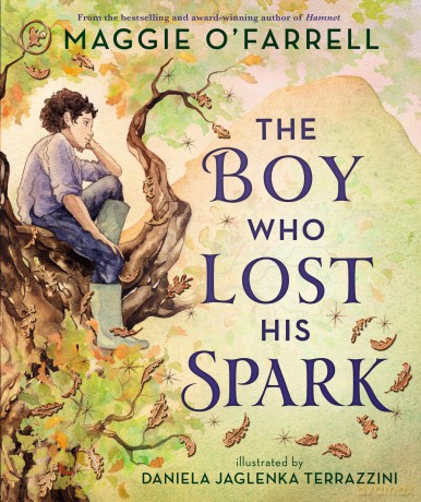 The Boy Who Lost His Spark - Maggie O'Farrell [KSIĄŻKA]