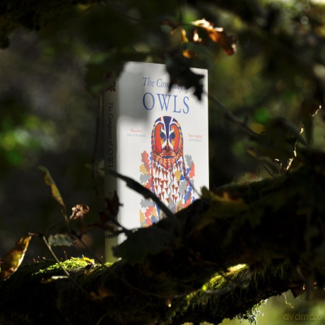 The Company of Owls - The perfect stocking filler this Christmas - Polly Atkin [KSIĄŻKA]
