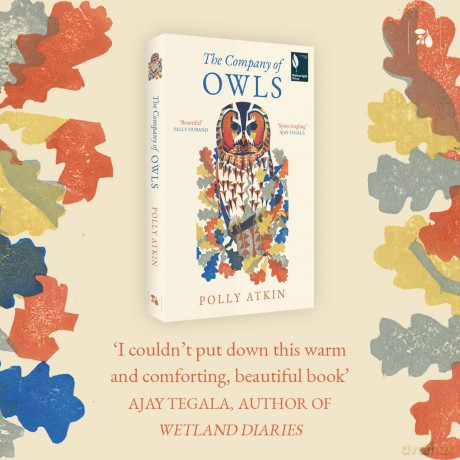 The Company of Owls - The perfect stocking filler this Christmas - Polly Atkin [KSIĄŻKA]