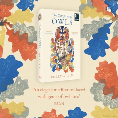 The Company of Owls - The perfect stocking filler this Christmas - Polly Atkin [KSIĄŻKA]