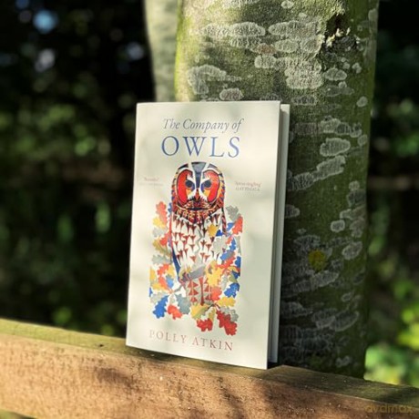 The Company of Owls - The perfect stocking filler this Christmas - Polly Atkin [KSIĄŻKA]