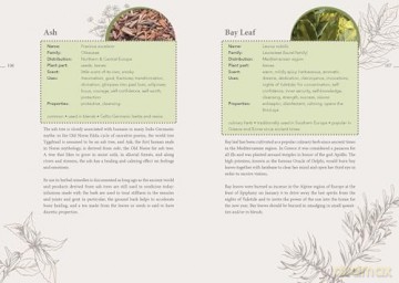 The Complete Smudging Handbook: 67 Herbs, Woods, and Resins for Clearing and Emotional Balance - Markus Schirner [KSIĄŻKA]