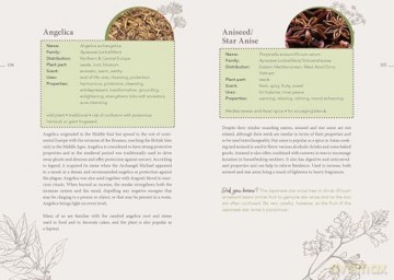 The Complete Smudging Handbook: 67 Herbs, Woods, and Resins for Clearing and Emotional Balance - Markus Schirner [KSIĄŻKA]