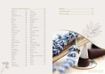 The Complete Smudging Handbook: 67 Herbs, Woods, and Resins for Clearing and Emotional Balance - Markus Schirner [KSIĄŻKA]