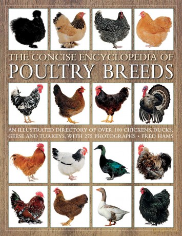 The Concise Encyclopedia of Poultry Breeds: An Illustrated Directory of Over 100 Chickens, Ducks, Geese and Turkeys, with 275 Photographs - Fred Hams [KSIĄŻKA]