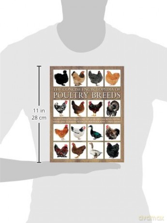 The Concise Encyclopedia of Poultry Breeds: An Illustrated Directory of Over 100 Chickens, Ducks, Geese and Turkeys, with 275 Photographs - Fred Hams [KSIĄŻKA]