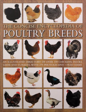 The Concise Encyclopedia of Poultry Breeds: An Illustrated Directory of Over 100 Chickens, Ducks, Geese and Turkeys, with 275 Photographs - Fred Hams [KSIĄŻKA]