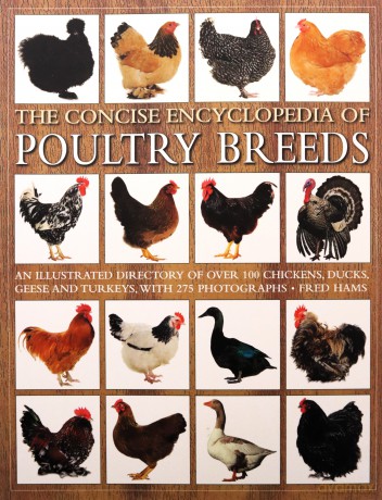 The Concise Encyclopedia of Poultry Breeds: An Illustrated Directory of Over 100 Chickens, Ducks, Geese and Turkeys, with 275 Photographs - Fred Hams [KSIĄŻKA]