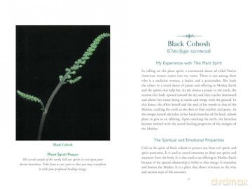 The Divine Nature of Plants: A Medical Intuitive's Guide to Plant Spirit Medicine - Laura Aversano [KSIĄŻKA]
