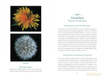 The Divine Nature of Plants: A Medical Intuitive's Guide to Plant Spirit Medicine - Laura Aversano [KSIĄŻKA]