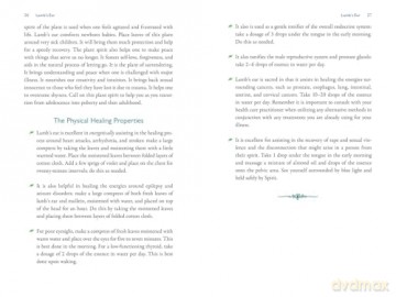 The Divine Nature of Plants: A Medical Intuitive's Guide to Plant Spirit Medicine - Laura Aversano [KSIĄŻKA]