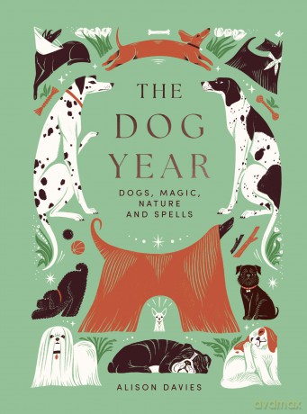 The Dog Year: Dogs, Magic, Nature and Spells - Alison Davies [KSIĄŻKA]