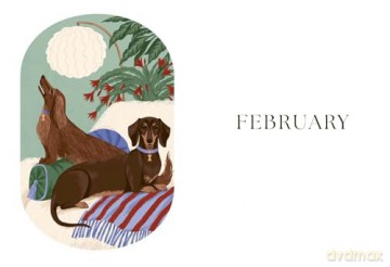 The Dog Year: Dogs, Magic, Nature and Spells - Alison Davies [KSIĄŻKA]