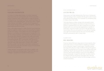 The Dog Year: Dogs, Magic, Nature and Spells - Alison Davies [KSIĄŻKA]
