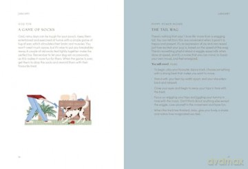 The Dog Year: Dogs, Magic, Nature and Spells - Alison Davies [KSIĄŻKA]