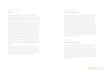 The Dog Year: Dogs, Magic, Nature and Spells - Alison Davies [KSIĄŻKA]