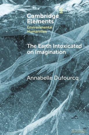 The Earth Intoxicated on Imagination - Annabelle Dufourcq [KSIĄŻKA]
