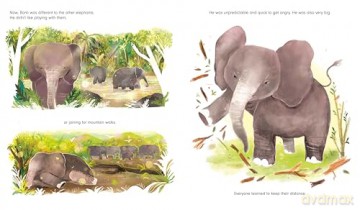 The Elephant and the Piano - Colette Hiller [KSIĄŻKA]