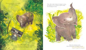 The Elephant and the Piano - Colette Hiller [KSIĄŻKA]
