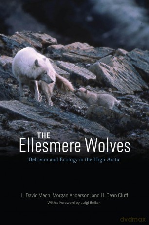 The Ellesmere Wolves: Behavior and Ecology in the High Arctic - L. David Mech [KSIĄŻKA]