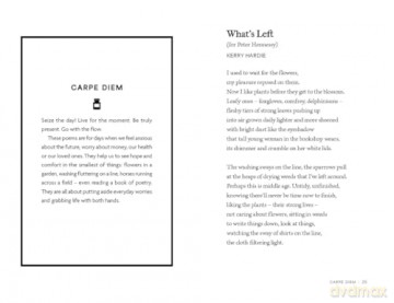 The Emergency Poet: An Anti-Stress Poetry Anthology - Deborah Alma [KSIĄŻKA]