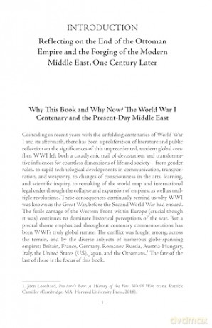 The End of the Ottoman Empire and the Forging of the Modern Middle East: A Short History with Documents - Andrew Wender [KSIĄŻKA]