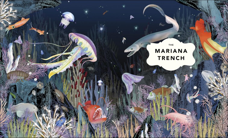 The Fantastical Safari: Wander through 5 of the most remote habitats to meet more than 80 amazing animals - Lucy Brownridge [KSIĄŻKA]