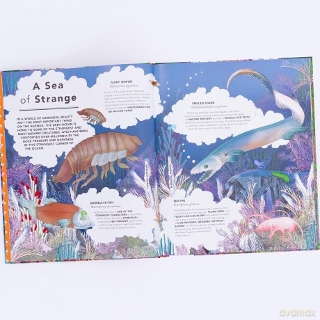 The Fantastical Safari: Wander through 5 of the most remote habitats to meet more than 80 amazing animals - Lucy Brownridge [KSIĄŻKA]