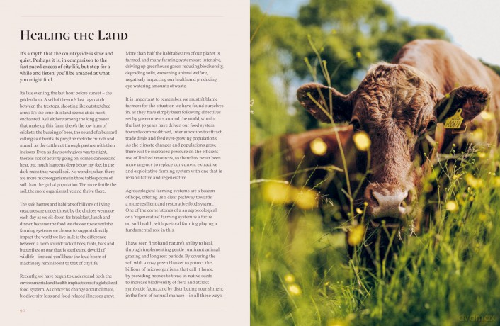 The Farm Kitchen: Seasonal Recipes from Field, Coast and Garden - Abby Allen [KSIĄŻKA]