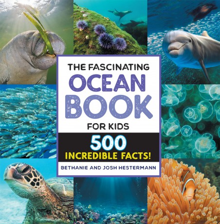 The Fascinating Ocean Book for Kids: 500 Incredible Facts! - Bethanie Hestermann [KSIĄŻKA]