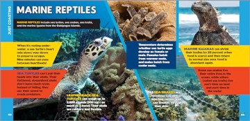 The Fascinating Ocean Book for Kids: 500 Incredible Facts! - Bethanie Hestermann [KSIĄŻKA]