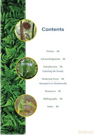 The Fern Pharmacy: Indigenous Wisdom and Modern Pharmacology - Robert Dale Rogers [KSIĄŻKA]