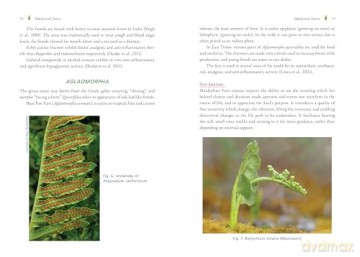 The Fern Pharmacy: Indigenous Wisdom and Modern Pharmacology - Robert Dale Rogers [KSIĄŻKA]